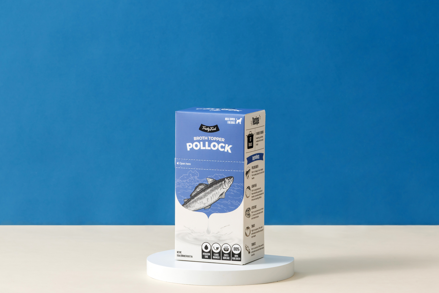 Pollock Broth