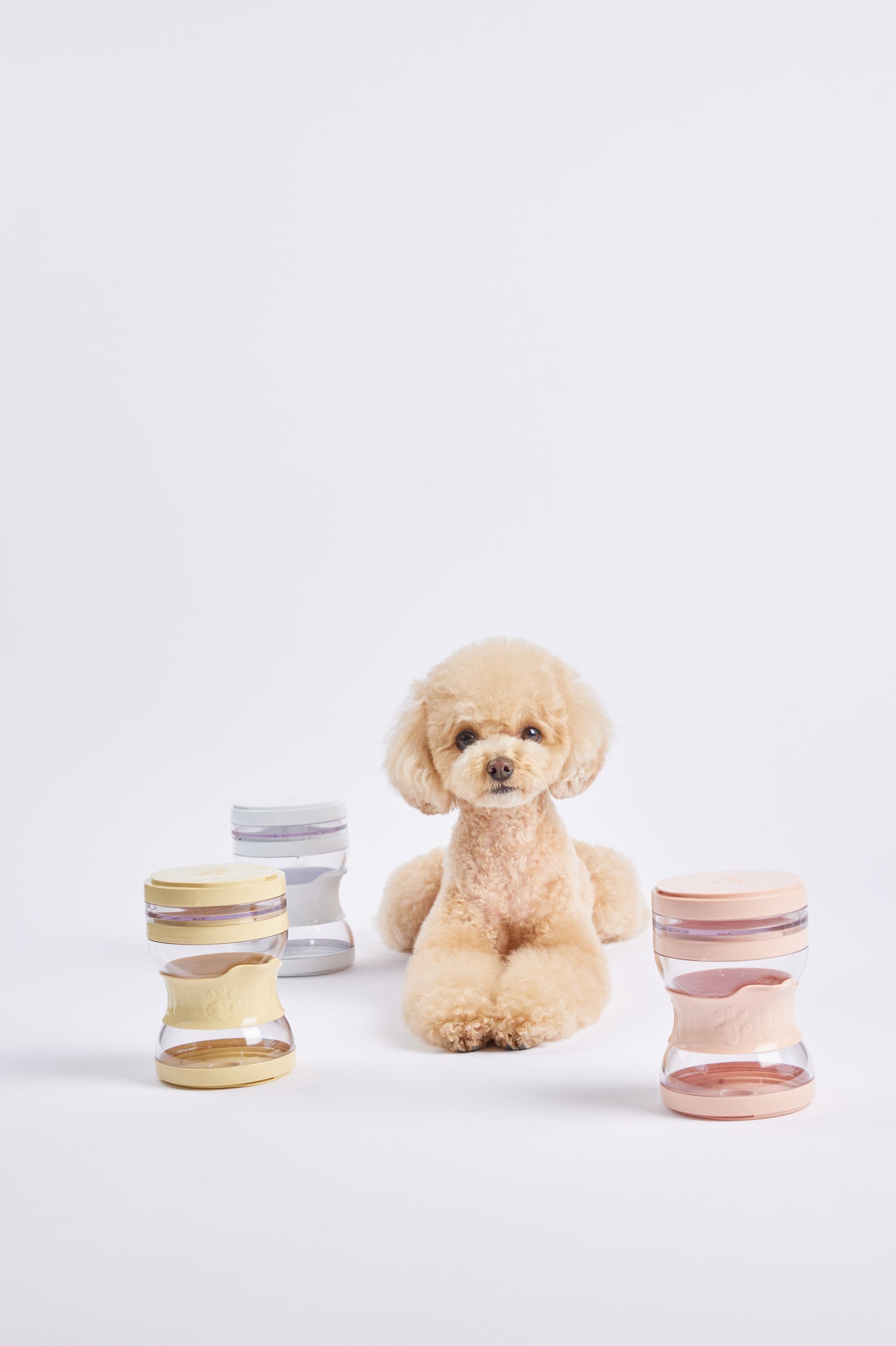 Pet Lunchbox [Pre-Order]