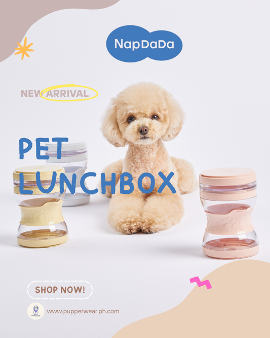 Pet Lunchbox [Pre-Order]