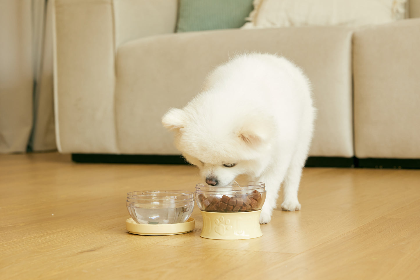 Pet Lunchbox [Pre-Order]