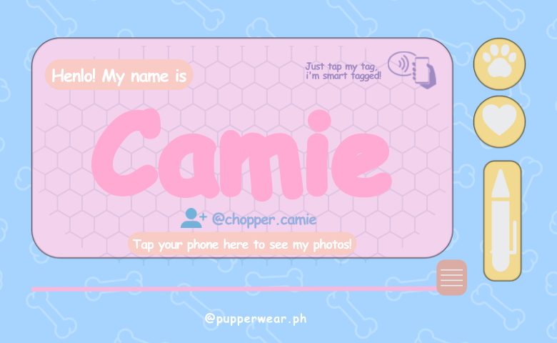 Smart Puptag - PupDoodle