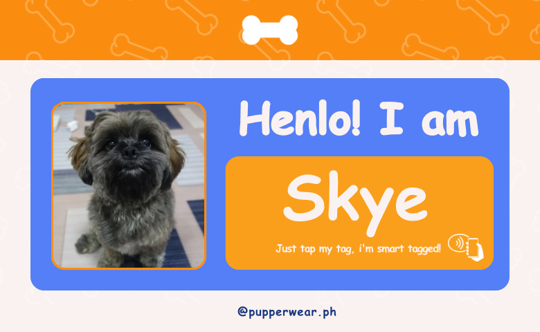 Smart Puptag - PupCard