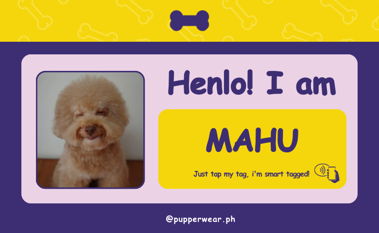 Smart Puptag - PupCard