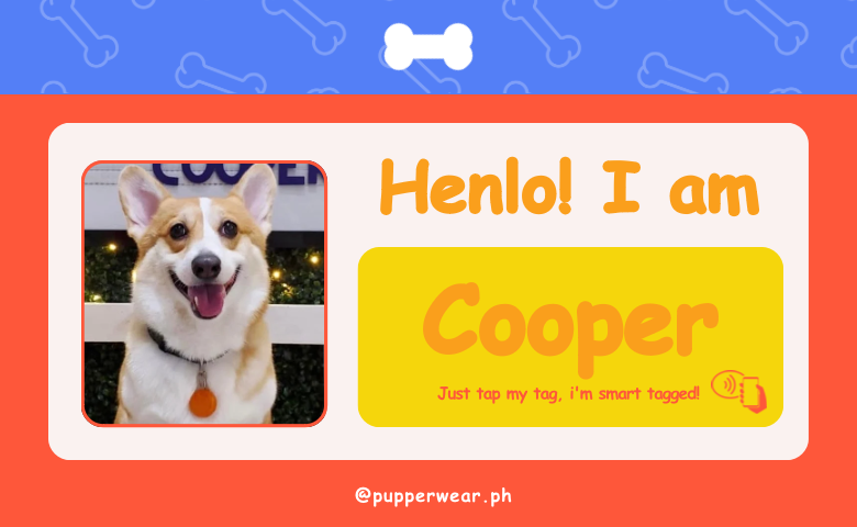 Smart Puptag - PupCard