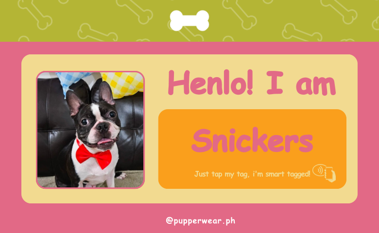Smart Puptag - PupCard