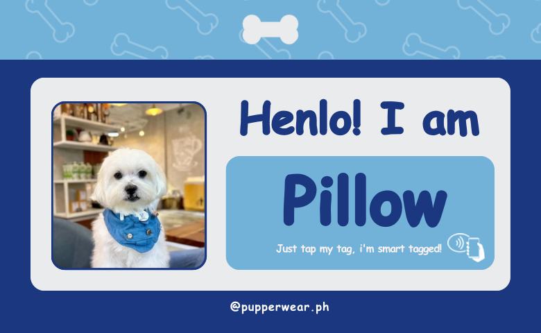 Smart Puptag - PupCard