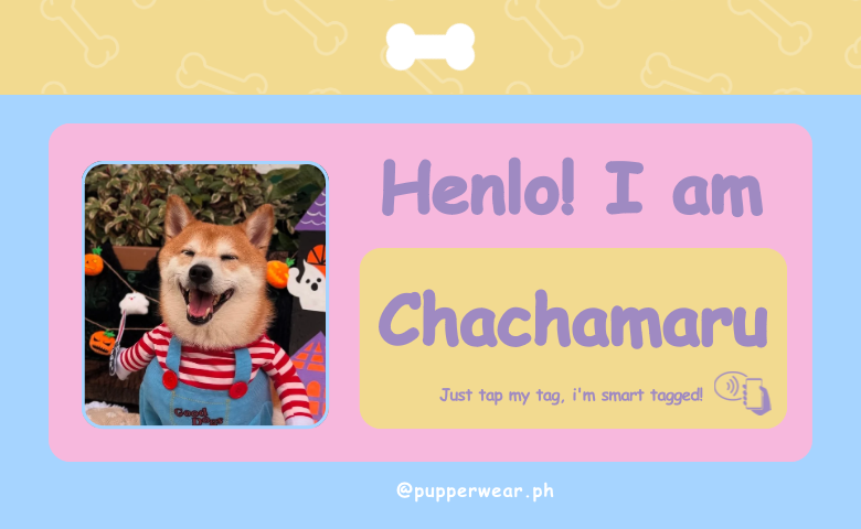 Smart Puptag - PupCard