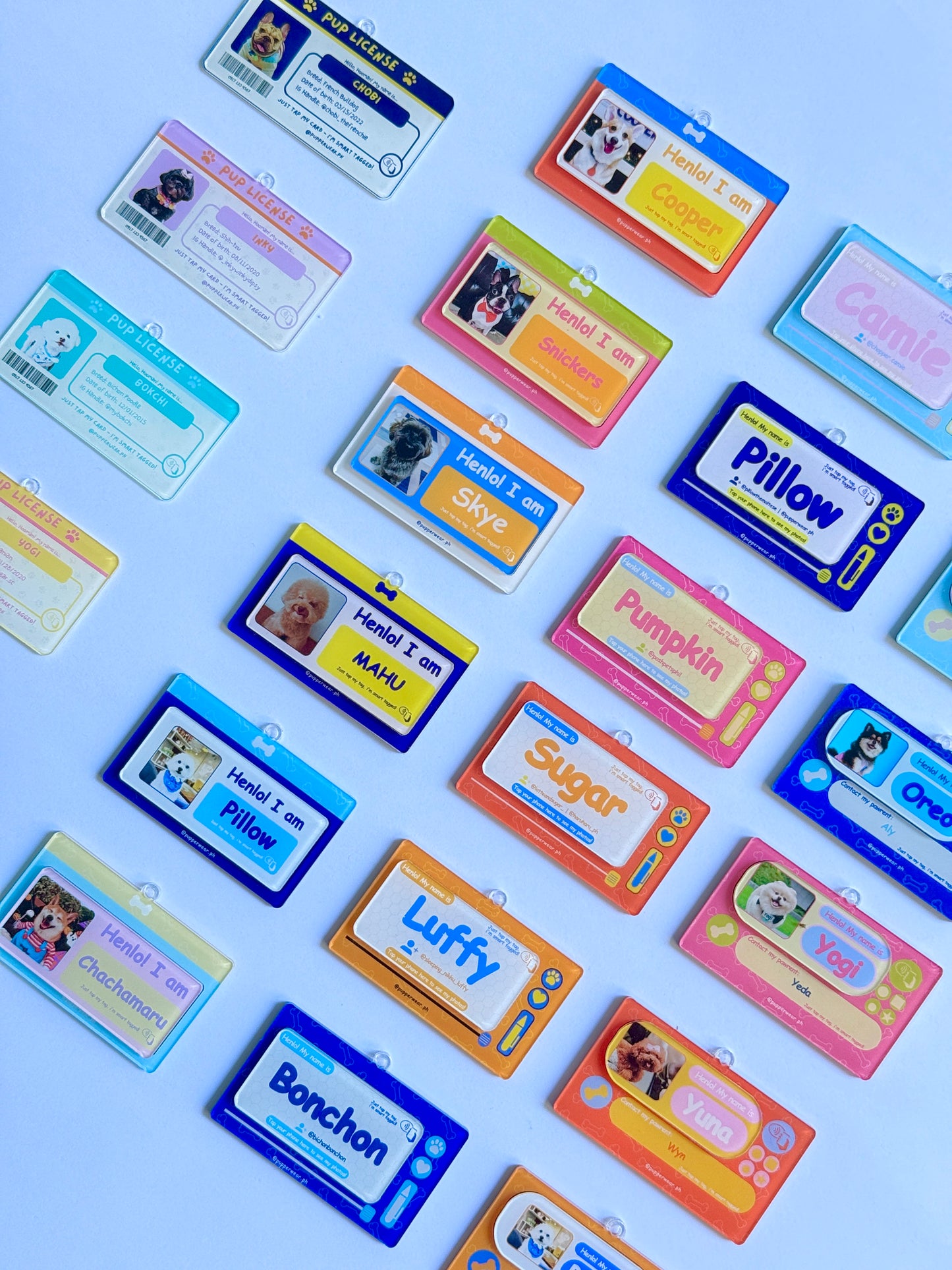 Smart Puptag - PupDoodle