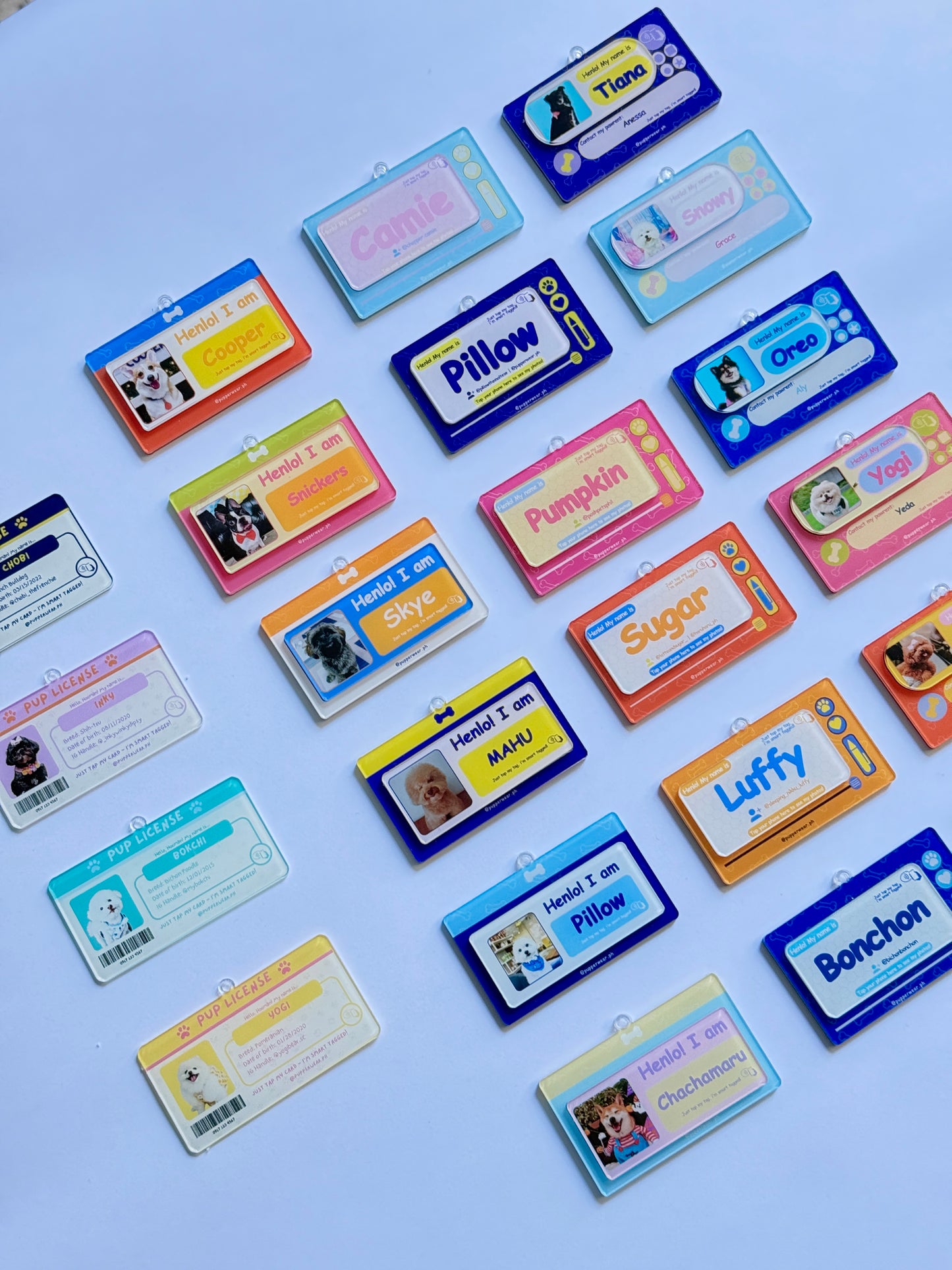 Smart Puptag - PupDoodle