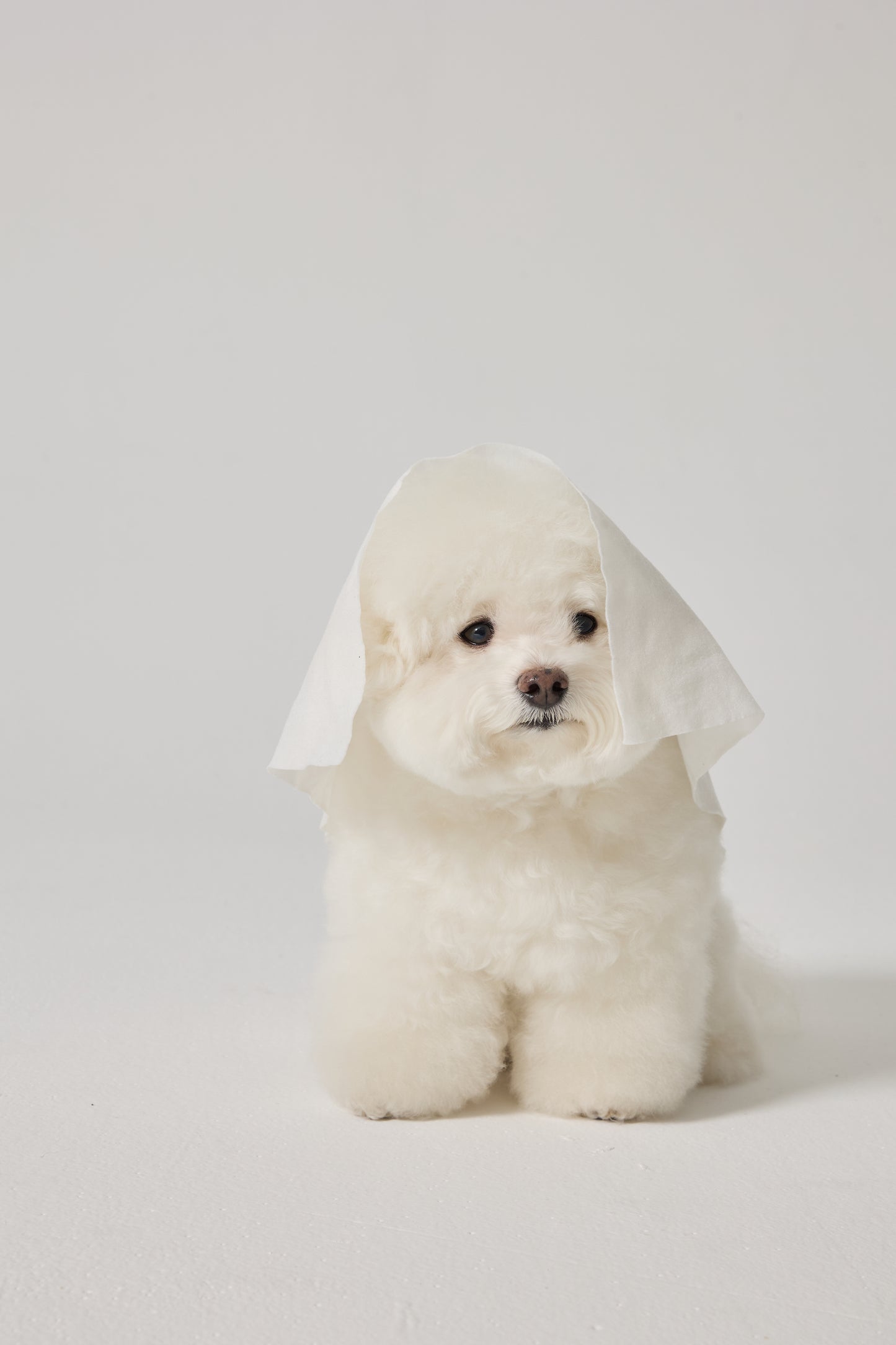 Gentle Body Shower Wipes [Pre-Order]